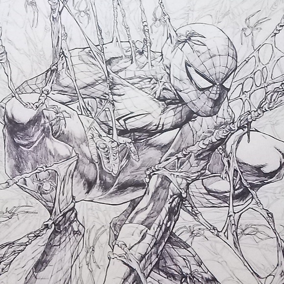 Amazing Spider-Man wall art - Picture 2 of 6